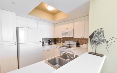 Silver Shells St. Croix 902 10