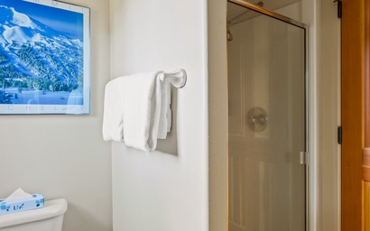 Big Mountain View Condo 4