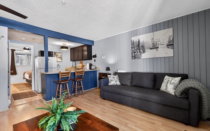 Edelweiss 202 | Ski-In/Ski-Out on Chair 8 | Cozy Condo Sleeps 6 2