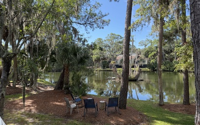 Featured Property Glass Egret