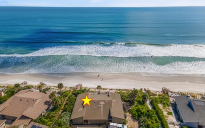 Sea Dunes Green Turtle A3 5