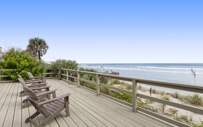 Sea Dunes Green Turtle A3 6