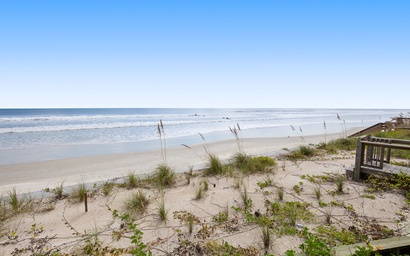 Sea Dunes Green Turtle A3 3