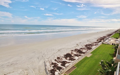 Sea Coast Gardens II 402 5