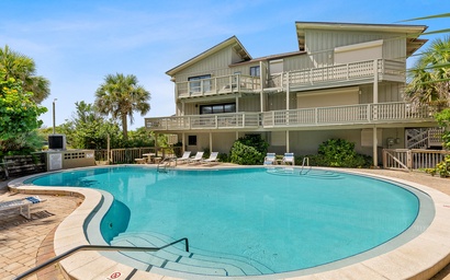 Sea Dunes Green Turtle A3 2