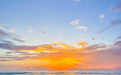 Oceanwalk 7-306 3