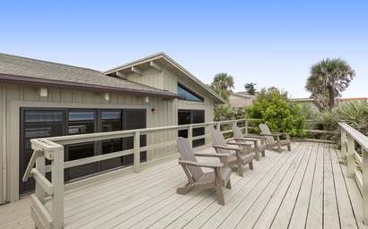 Sea Dunes Green Turtle A3 4