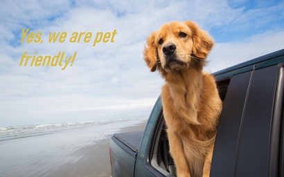 Decked Out House On Hill St 2