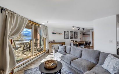 Oh What A View - Lake Dillon 4