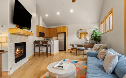 Park Avenue Lofts 309