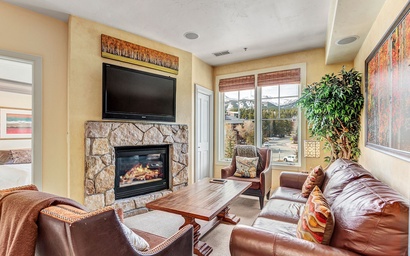 Park Avenue Lofts 303 2