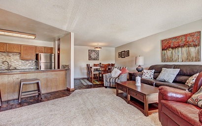 Sawmill Creek Condo 205 3