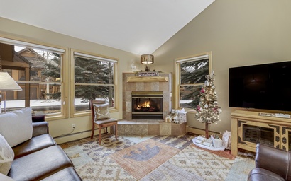 Snake River Village #12