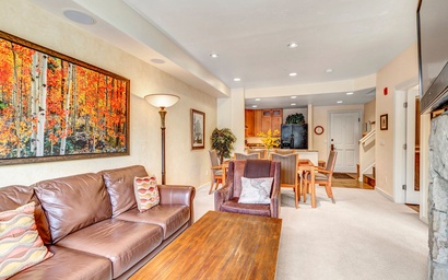 Park Avenue Lofts 303 3