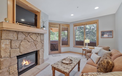 Park Avenue Lofts 201 3