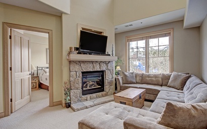 Park Avenue Lofts 301 3