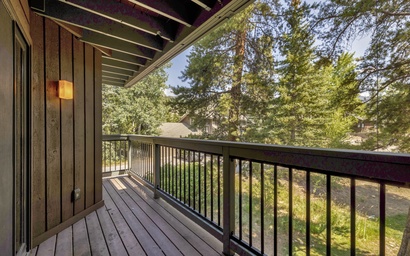 Wild Irishman 1078 2