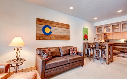 Park Avenue Lofts 204 3