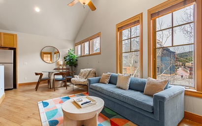 Park Avenue Lofts 309 2