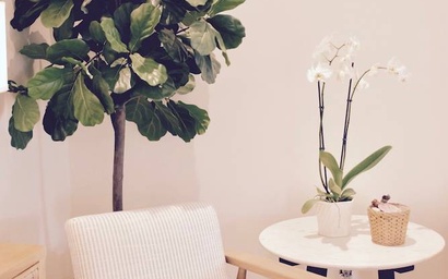 1816 Bluff Villas 10