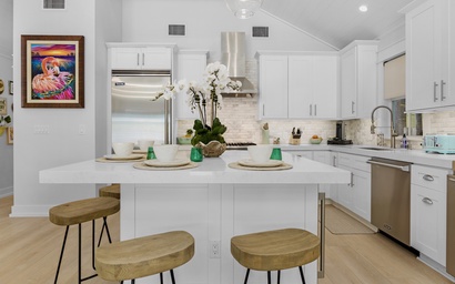 Flight of the Flamingo 9