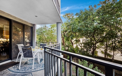 Conch in the Treetops 5