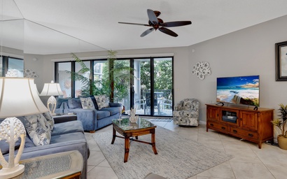 Conch in the Treetops 4