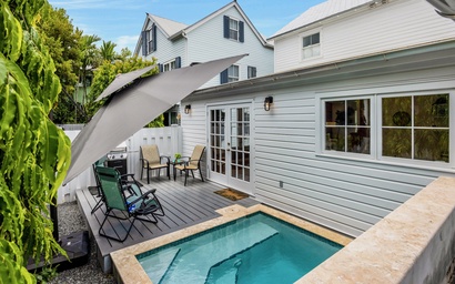 The Artist's Aviary 3