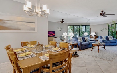 Conch in the Treetops 6