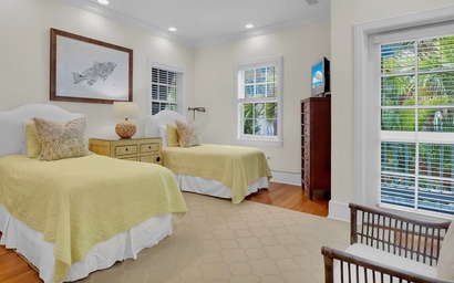 The Playful Pelican 4