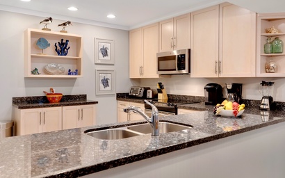 Conch in the Treetops 10