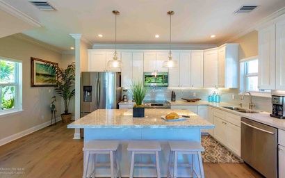 Dance of the Butterflies 3