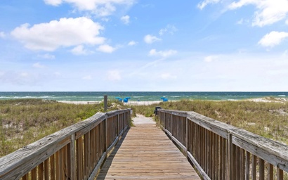 Needle Rush Point D11 5