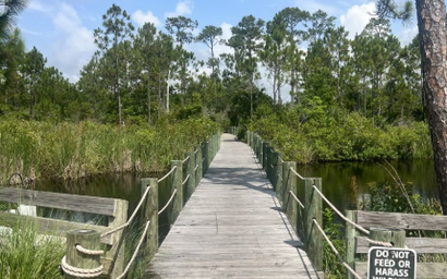 Sandy Toes on Parks Edge 5