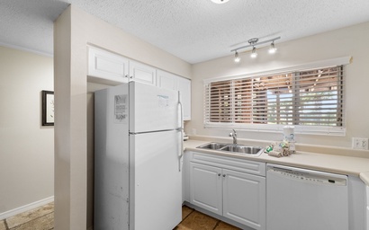 Needle Rush Point F12 10