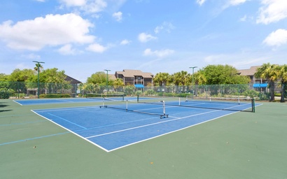 Needle Rush Point D11 4