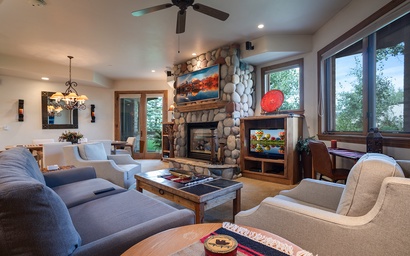 CX311 - Chateau Chamonix