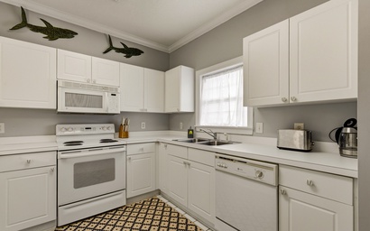 Oyster Catcher 532 5