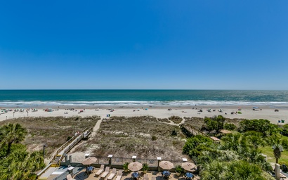 Carolina Dunes - 504