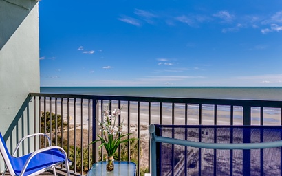 Carolina Dunes - 505