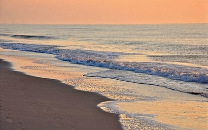 Carolina Dunes 303 3