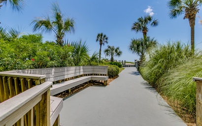 Carolina Dunes 306 5