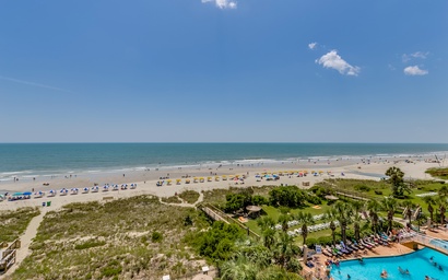 Carolina Dunes - 501