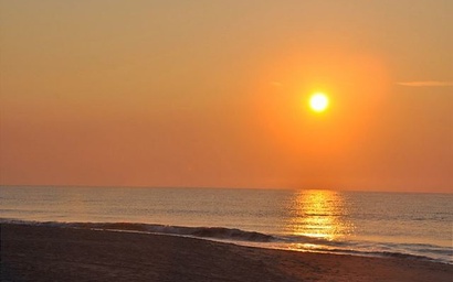 Carolina Dunes 304 5