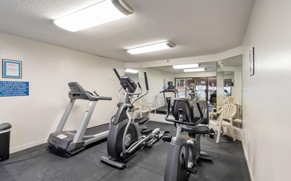 Forest Dunes 1001 10