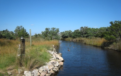 NP37: Once Upon A Tide 5