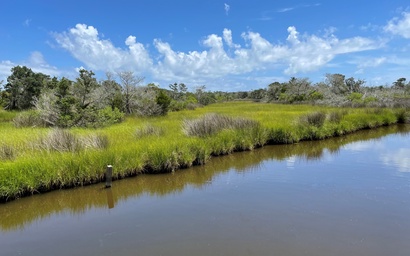 NP37: Once Upon A Tide 4