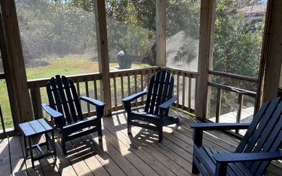 CR37: La Vie En Rose 3