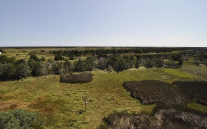 IR41: Starry Night 3