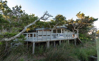 OC55: Faraway Oaks 2